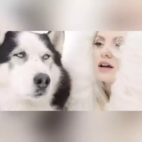 alexandra star sessions & star sessions alexandra| ...| Kwai