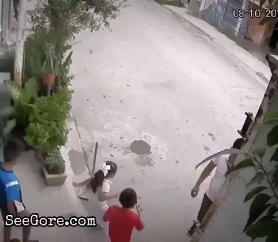 daysis destruction gore see  