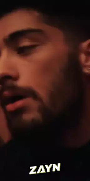 zayn doms leak