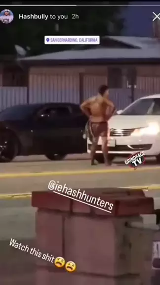 crazy shit gore