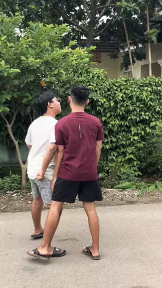 Bocil fujian full