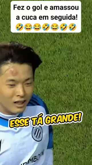 galo na testa e perigoso | Discover