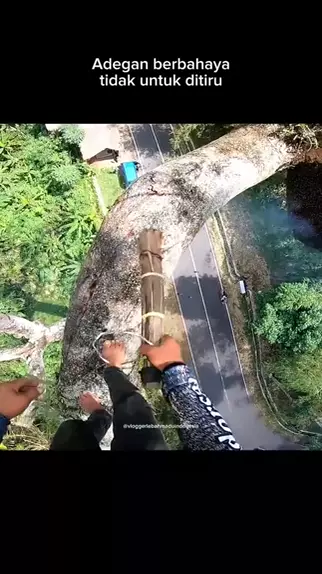 koteadali videos | Discover