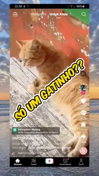 masha babko 1st studio link | Discover