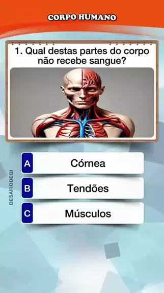qual parte do corpo humano que nao recebe sangue & ...| Kwai