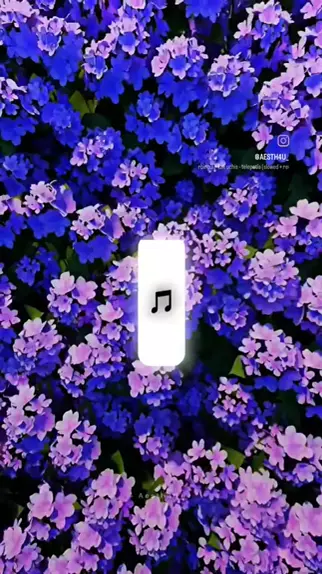 kassie lee leaks & kassie lee leak heightDiscoveKwai