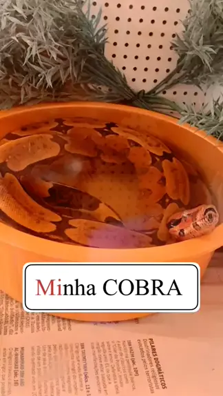 arisa vurr onlyfans leaked