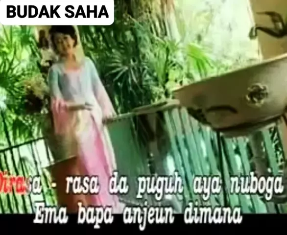 Budaksaha video