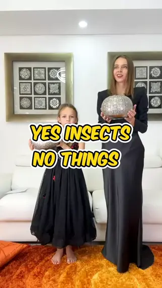 Kin No Tamamushi Giyuu Insects kin no tamamushi giyuu insects