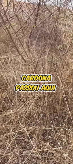 mauyri cardona xxx & mauyri estefany cardona | Apr| Kwai