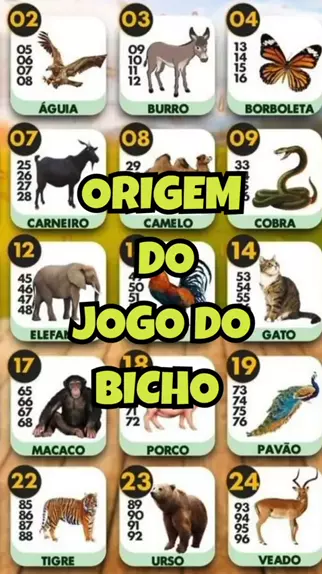 o número do urso no jogo do bicho é quanto, Dis