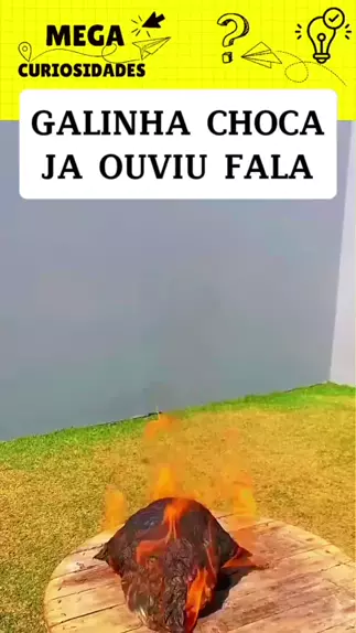 o'que e galinha choca posicao sexual & o que signi ...| Kwai