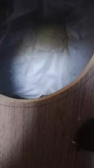 bokep barat sub indo twitter