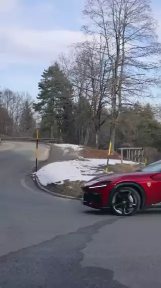 zi cavallii & zi.cavalli| Discover