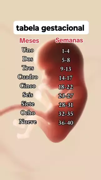Calculadora Gestacional: Como Saber O Dia Do Seu Parto – TOLB