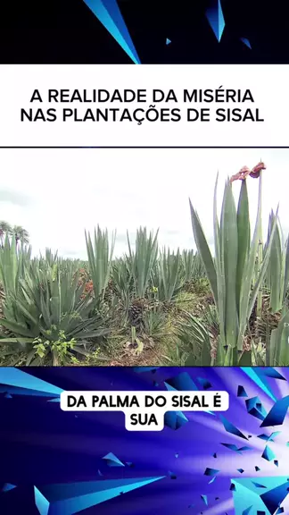 Kat+Dunning+OnlyFans+leak | Discover