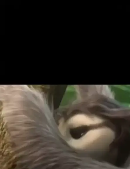 bocil+ngewe+sotwe & sotwe sange bocil| Discover