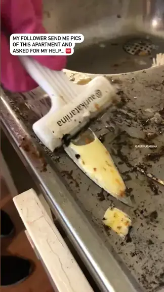 ari katsya erome Discover