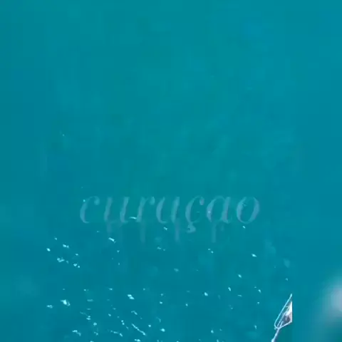 cielo anais naked & cielo anais naked images| Disc| Kwai