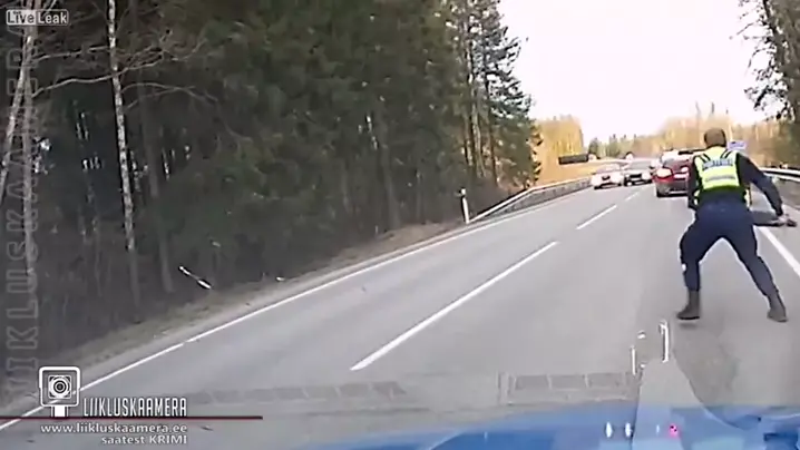 kit kalypso leaks & kit kalypso of leaksDiscover