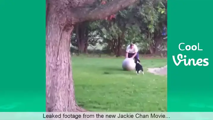 leaks chanco.cat | Discover