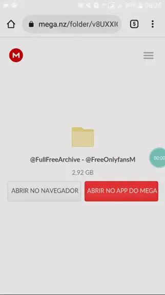 https mega nz folder txy39uw2wjq | Discover            