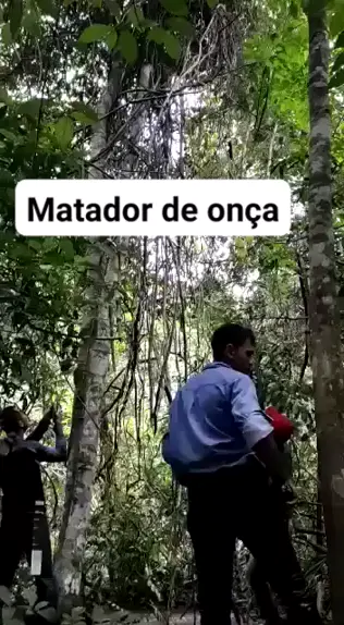 oncam.me bra | Discover