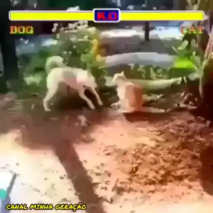 www.kwai.com