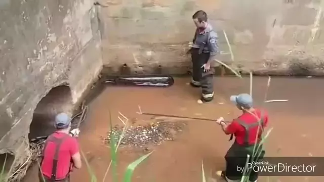 rene gonzalez lpsg & rene gonzalez byken leakDisKwai