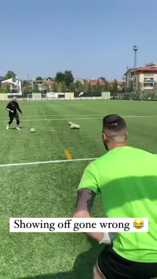 lookingformargot of leaks | Discover