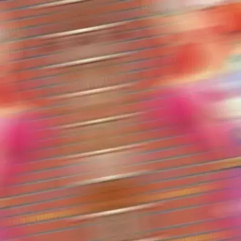 lily rabbit leak | Discover