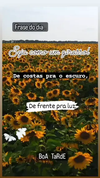 Boa tarde 🌻