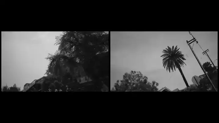 prettiestkkittykat leaked