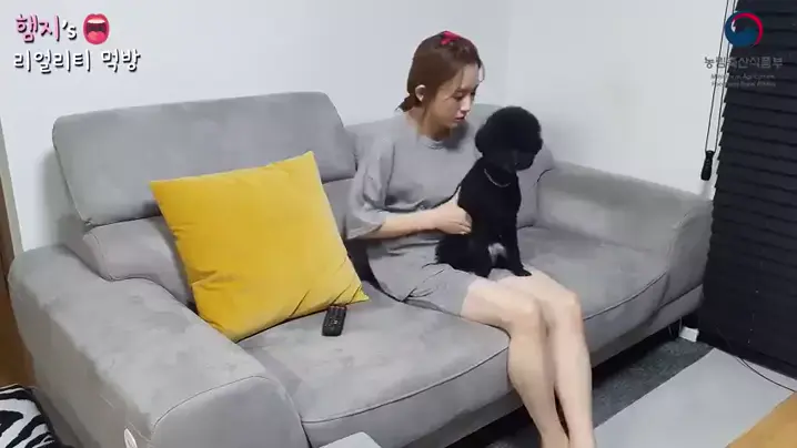 음악서비스 | Discover