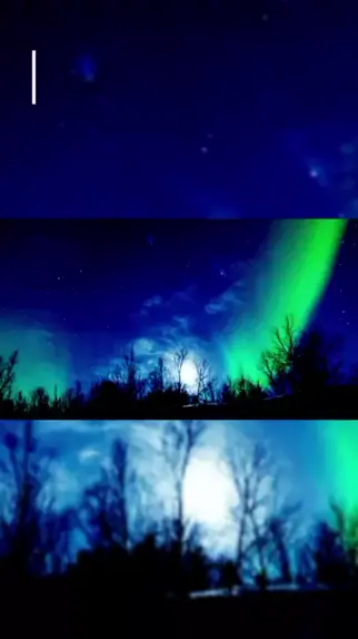 aurora belova leaked