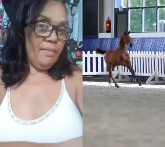 lucienlorraine reddit & lucien lorraine reddit useKwai