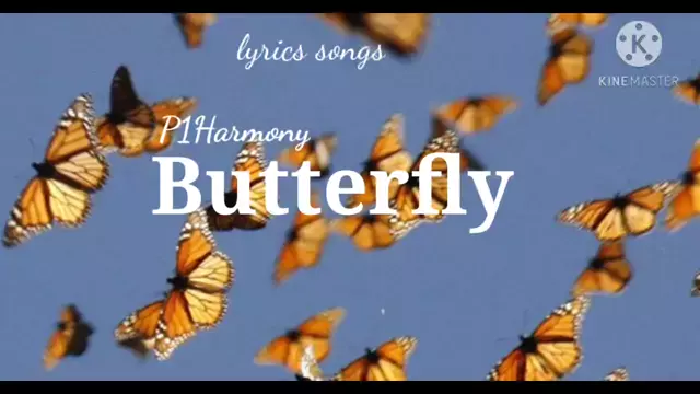 hermelien butterfly | Discover