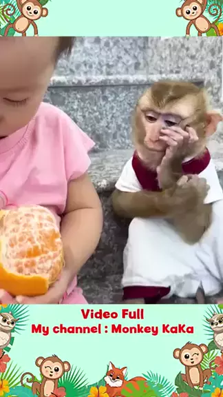 monkey kaka latest video | Discover