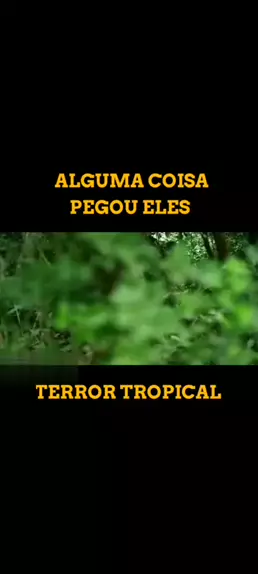 tropical cutie videos | Discover