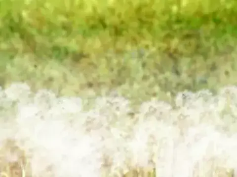 erome yucelis ferrer