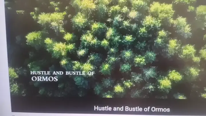 hustle bustle meaning in telugu