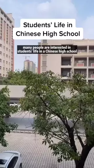 tscdchinese & tscd chinese immersion school| Disco ...| Kwai