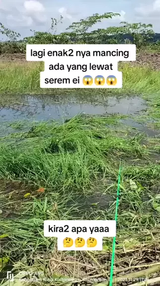 Bocil sange sd