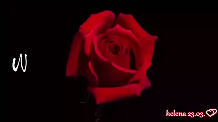 scarletrosefree videos & scarletrosefree onlyfansKwai