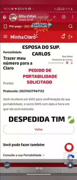 consultar portabilidade tim & tim portabilidade co