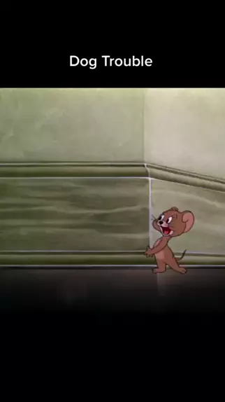 dog knot animation | Discover